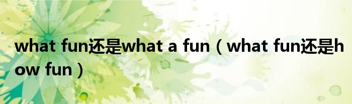 what fun还是what a fun（what fun还是how fun）