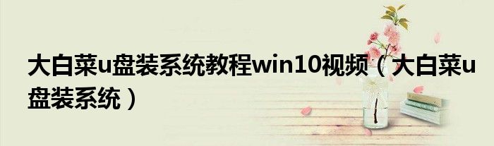 大白菜u盘装系统教程win10视频（大白菜u盘装系统）