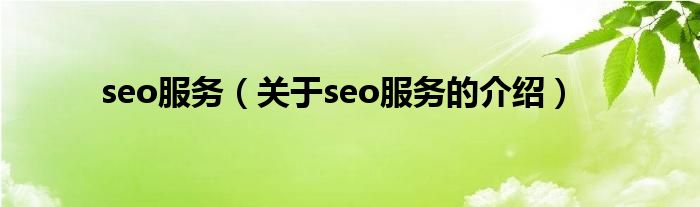 seo服务（关于seo服务的介绍）