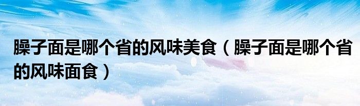 臊子面是哪个省的风味美食（臊子面是哪个省的风味面食）