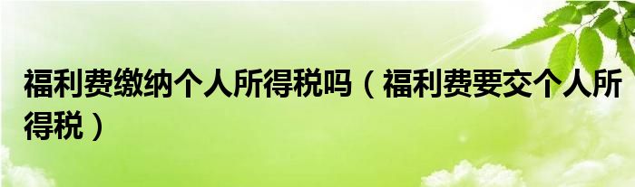 福利费缴纳个人所得税吗（福利费要交个人所得税）