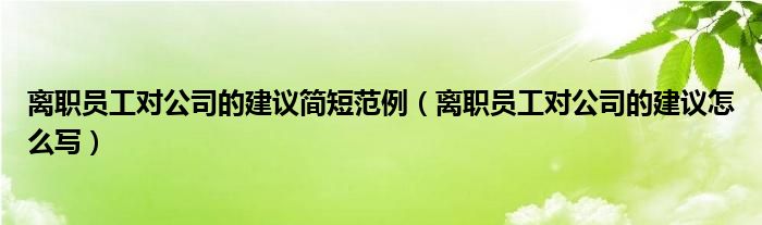 离职员工对公司的建议简短范例（离职员工对公司的建议怎么写）