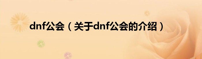 dnf公会（关于dnf公会的介绍）