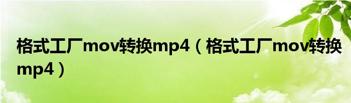 格式工厂mov转换mp4（格式工厂mov转换mp4）