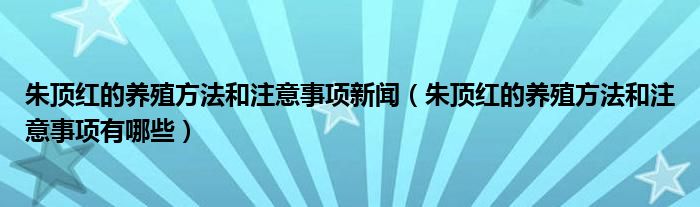 朱顶红的养殖方法和注意事项新闻（朱顶红的养殖方法和注意事项有哪些）