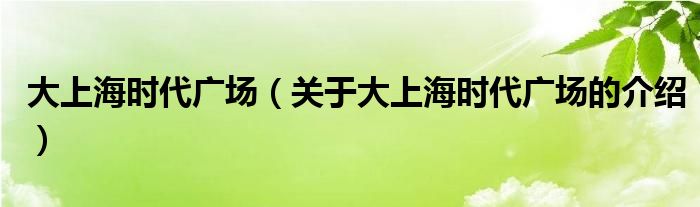 大上海时代广场（关于大上海时代广场的介绍）