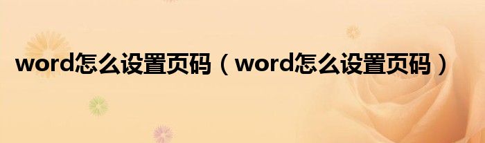 word怎么设置页码（word怎么设置页码）