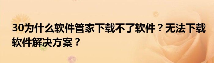 30为什么软件管家下载不了软件？无法下载软件解决方案？