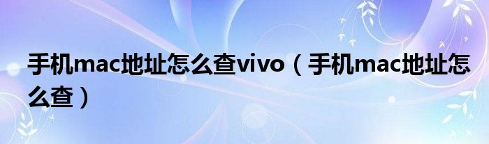 手机mac地址怎么查vivo（手机mac地址怎么查）