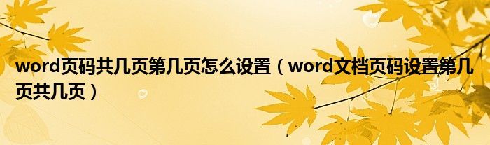 word页码共几页第几页怎么设置（word文档页码设置第几页共几页）