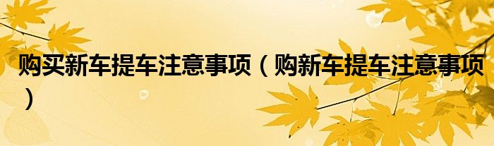 购买新车提车注意事项（购新车提车注意事项）