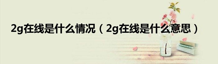 2g在线是什么情况（2g在线是什么意思）