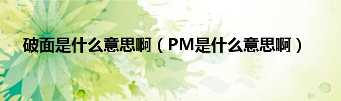 破面是什么意思啊（PM是什么意思啊）