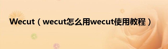 Wecut（wecut怎么用wecut使用教程）