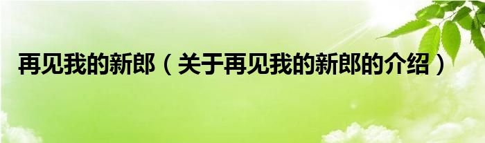 再见我的新郎（关于再见我的新郎的介绍）