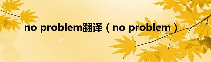 no problem 中文翻译图片