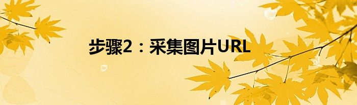 步骤2：采集图片URL