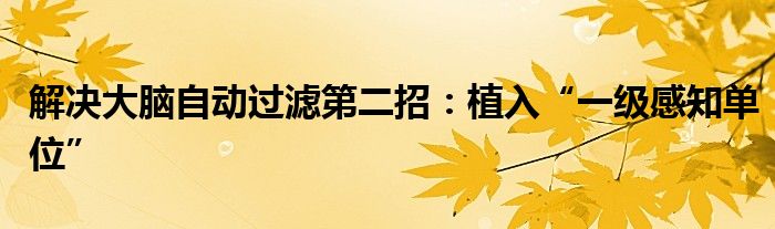 解决大脑自动过滤第二招：植入“一级感知单位”