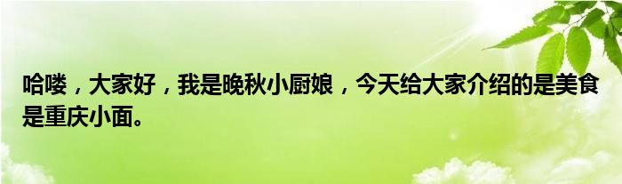 哈喽，大家好，我是晚秋小厨娘，今天给大家介绍的是美食是重庆小面。