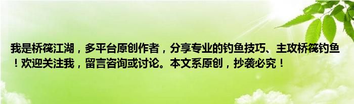 我是桥筏江湖，多平台原创作者，分享专业的钓鱼技巧、主攻桥筏钓鱼！欢迎关注我，留言咨询或讨论。本文系原创，抄袭必究！