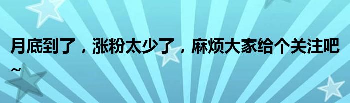 月底到了，涨粉太少了，麻烦大家给个关注吧~