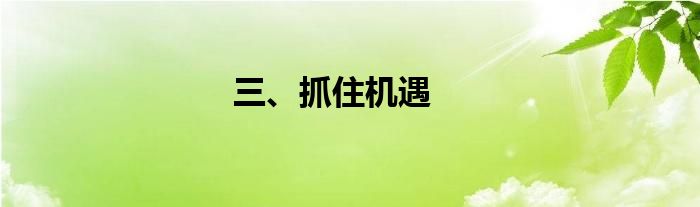 三、抓住机遇