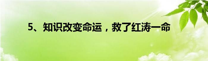 5、知识改变命运，救了红涛一命