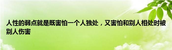 人性的弱点就是既害怕一个人独处，又害怕和别人相处时被别人伤害