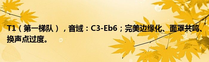 T1（第一梯队），音域：C3-Eb6；完美边缘化、面罩共鸣、换声点过度。