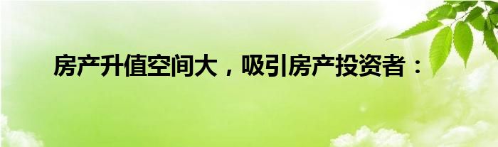 房产升值空间大，吸引房产投资者：