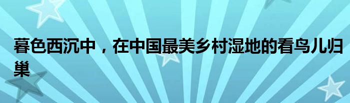 暮色西沉中，在中国最美乡村湿地的看鸟儿归巢