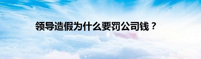 领导造假为什么要罚公司钱？