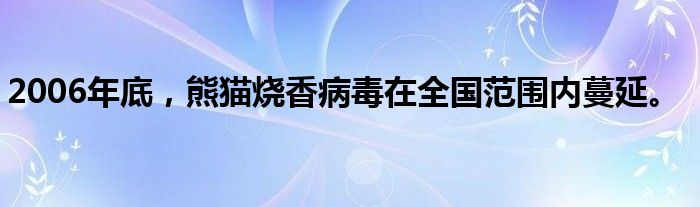 2006年底，熊猫烧香病毒在全国范围内蔓延。