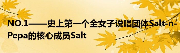 NO.1——史上第一个全女子说唱团体Salt-n-Pepa的核心成员Salt