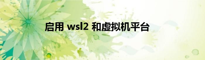 启用 wsl2 和虚拟机平台