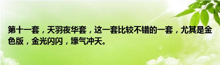 第十一套，天羽夜华套，这一套比较不错的一套，尤其是金色版，金光闪闪，壕气冲天。