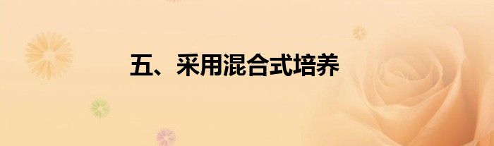 五、采用混合式培养