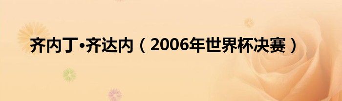 齐内丁·齐达内（2006年世界杯决赛）