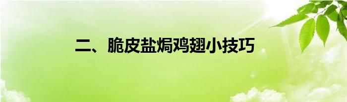 二、脆皮盐焗鸡翅小技巧