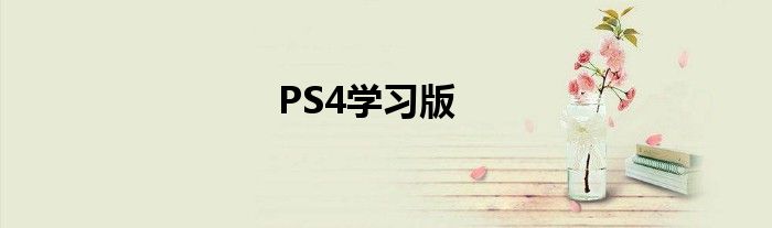 PS4学习版