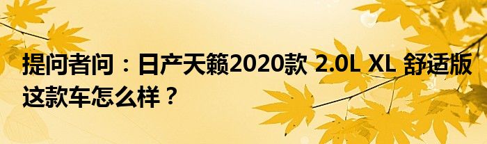 提问者问：日产天籁2020款 2.0L XL 舒适版这款车怎么样？