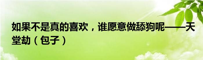 如果不是真的喜欢，谁愿意做舔狗呢——天堂劫（包子）