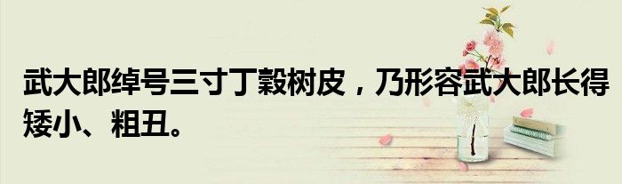 武大郎绰号三寸丁穀树皮，乃形容武大郎长得矮小、粗丑。