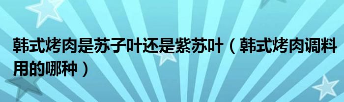 韩式烤肉是苏子叶还是紫苏叶（韩式烤肉调料用的哪种）