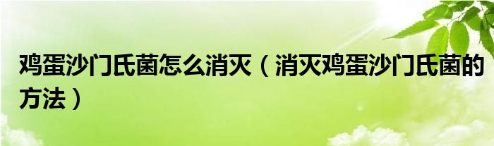 鸡蛋沙门氏菌怎么消灭（消灭鸡蛋沙门氏菌的方法）