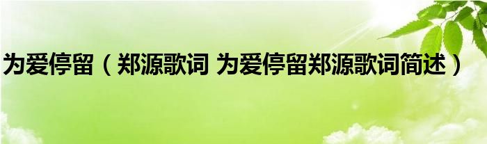 为爱停留（郑源歌词 为爱停留郑源歌词简述）