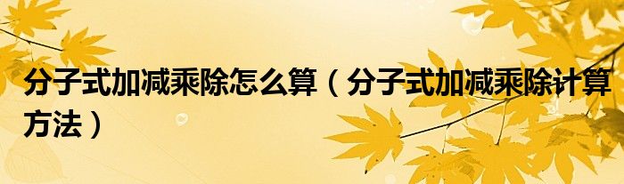 分子式加减乘除怎么算（分子式加减乘除计算方法）