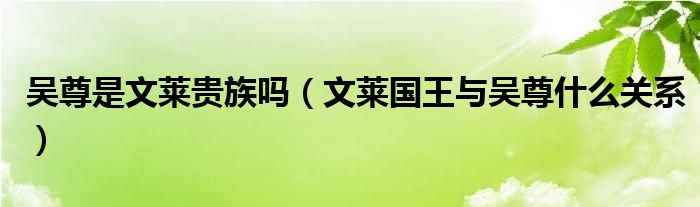 吴尊是文莱贵族吗（文莱国王与吴尊什么关系）