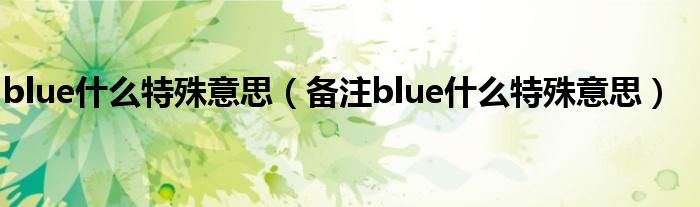 blue什么特殊意思（备注blue什么特殊意思）