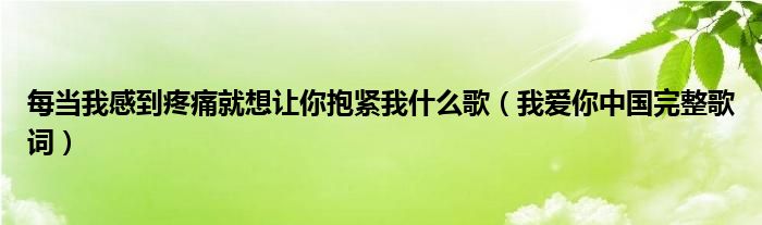 每当我感到疼痛就想让你抱紧我什么歌（我爱你中国完整歌词）